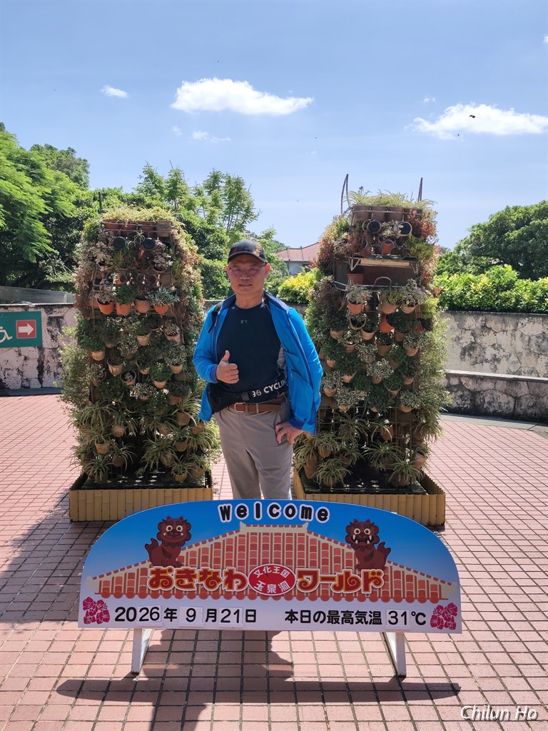 チケット